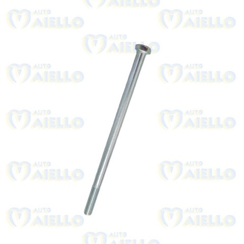 VITE VARIATORE MOTORE PULEGGIA