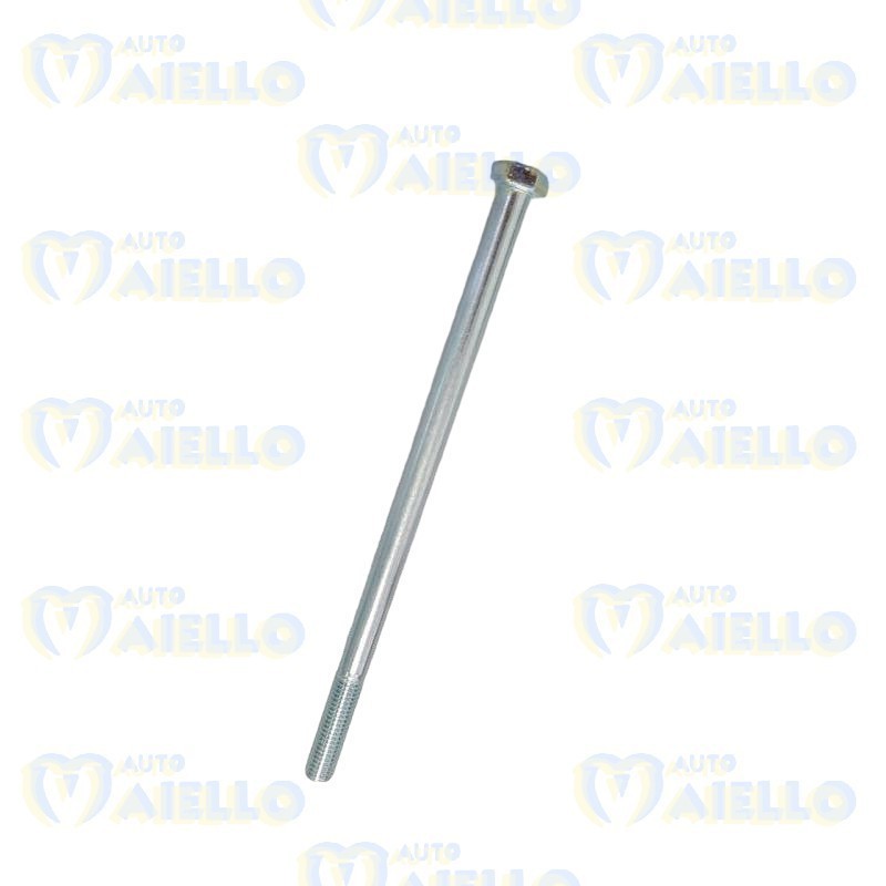 VITE VARIATORE MOTORE PULEGGIA