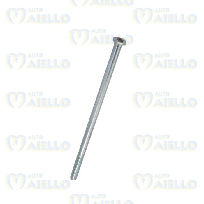 VITE VARIATORE MOTORE PULEGGIA