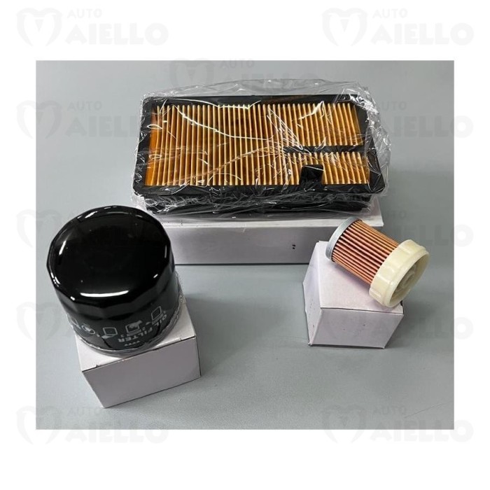 Kit filtri aria olio gasolio tagliando manutenzione Aixam Minauto motore Kubota Z 402