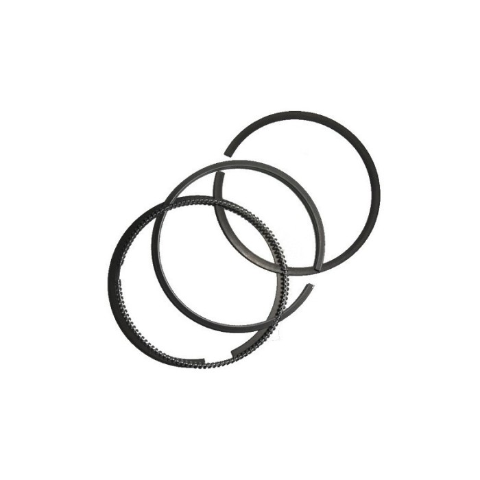 SERIE FASCE SEGMENTI STD LOMBARDINI D.72MM