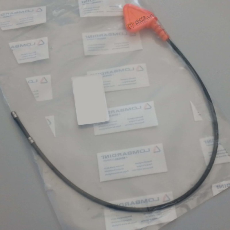 Asta livello olio lombardini progress focs microcar ligier chatenet