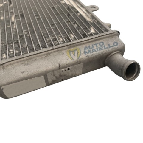 RADIATORE ACQUA GRECAV SONIQUE 2