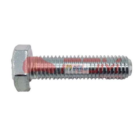 Vite per riduttore 10X1,50 8.8 cambio aixam ligier chatenet