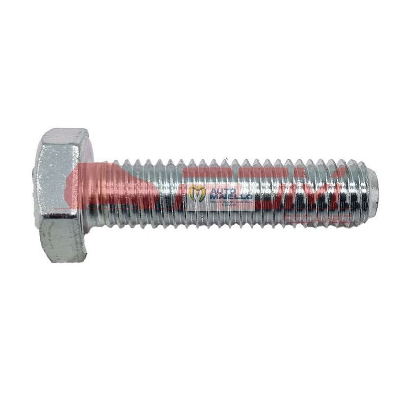 Vite per riduttore 10X1,50 8.8 cambio aixam ligier chatenet