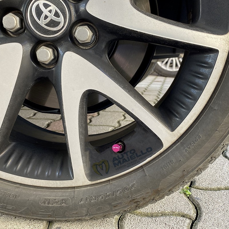 CAPUCCI VALVOLA  HEXAGONAL PINK