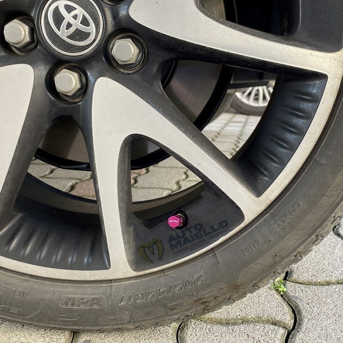 CAPUCCI VALVOLA  HEXAGONAL PINK