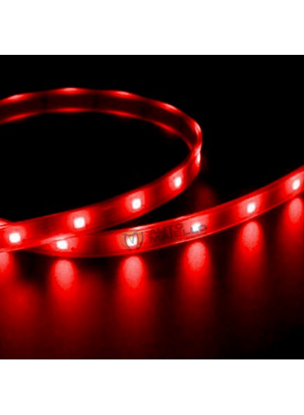 LED UNDERCAR ROSSO