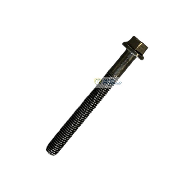 9820206 Vite fissaggio testa lombardini 502 523