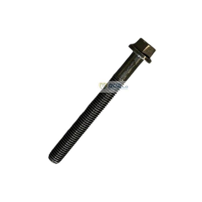 9820206 Vite fissaggio testa lombardini 502 523