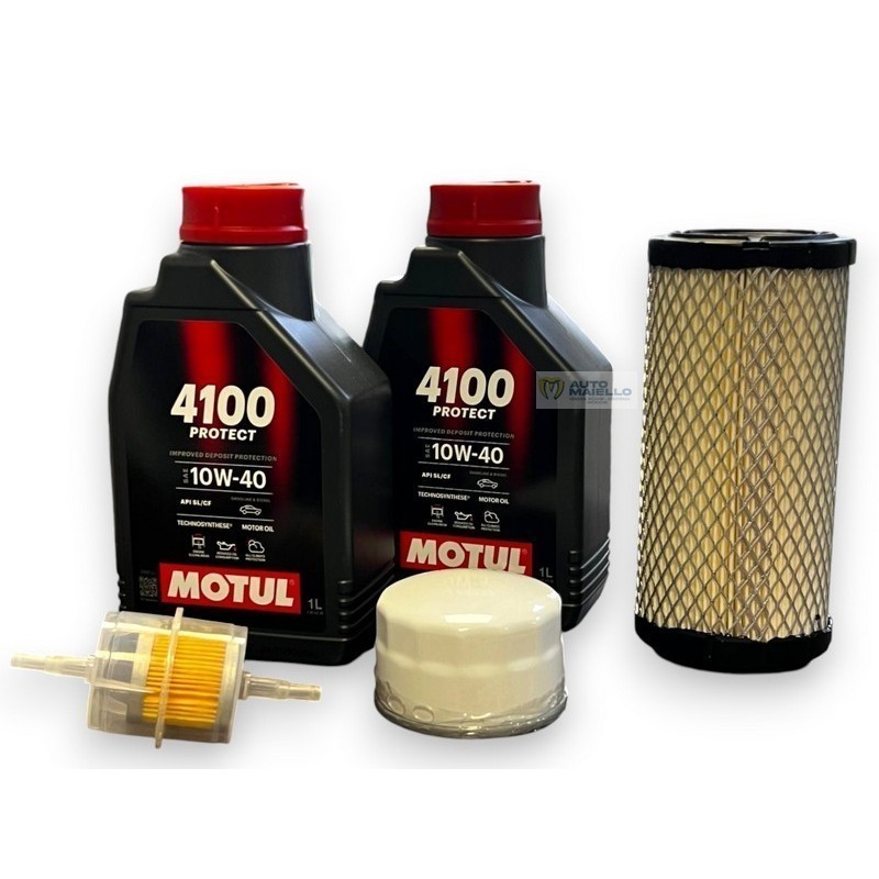 KIT TAGLIANDO COMPLETO LOMBARDINI LDW 502 PROGRESS PER LIGIER XTOO IXO JS