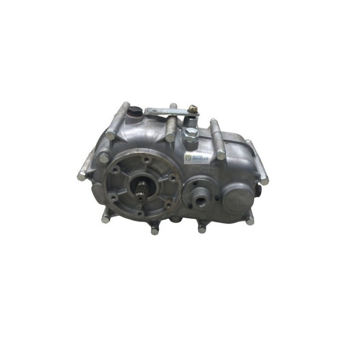 B08H20 CAMBIO RIDUTTORE DIFFERENZIALE GRECAV LUNA