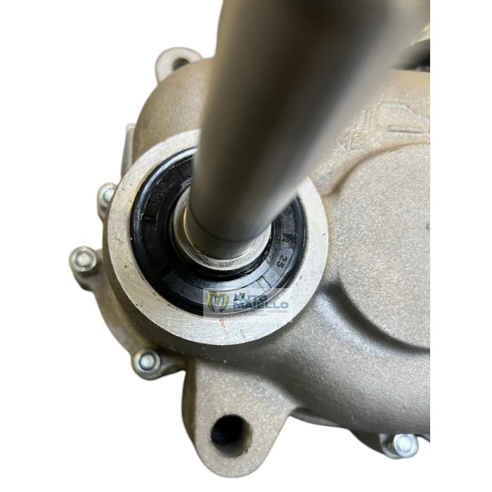 Cambio riduttore 1:8 chatenet CH26 EVO CH40 CH46