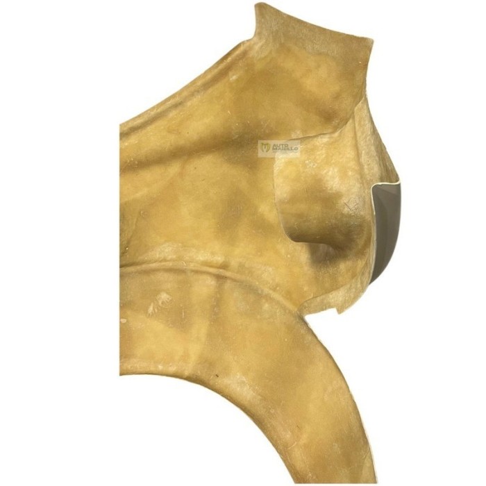 02.17.306 Parafango fiancata post dx chatenet ch26