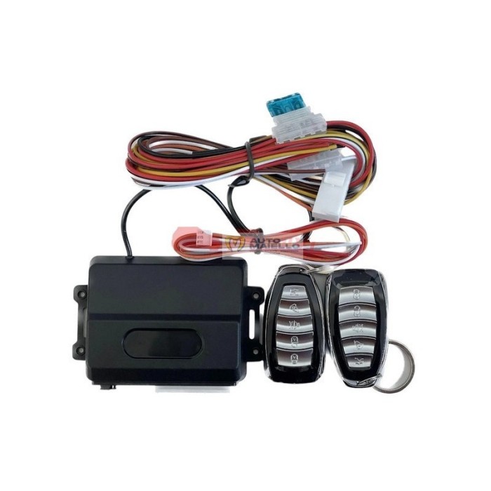 Centralina con telecomando Ligier Aixam