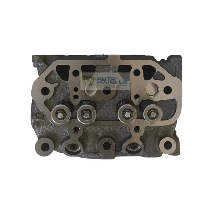 Testata motore mitsubishi 635 l2e casalini