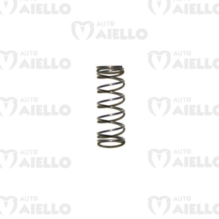 MOLLA PICCOLA PULEGGIA VARIATORE MOTORE I.B.C.