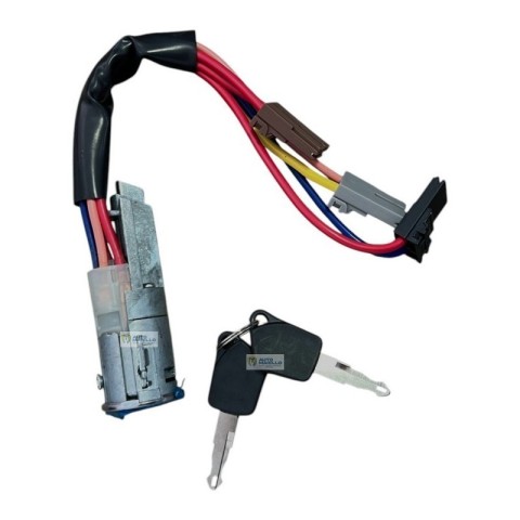 4G019 BLOCCHETTO ACCENSIONE AVVIAMENTO AIXAM GRECAV 400 500 A.721 CITY SCOUTY