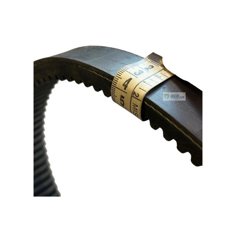 0134025 1096 CINGHIA VARIATORE B3211AA1096 033 LIGIER 3SP23