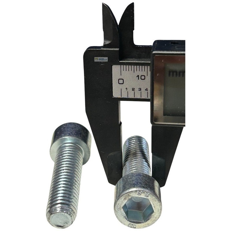 000227A BULLONE VITE