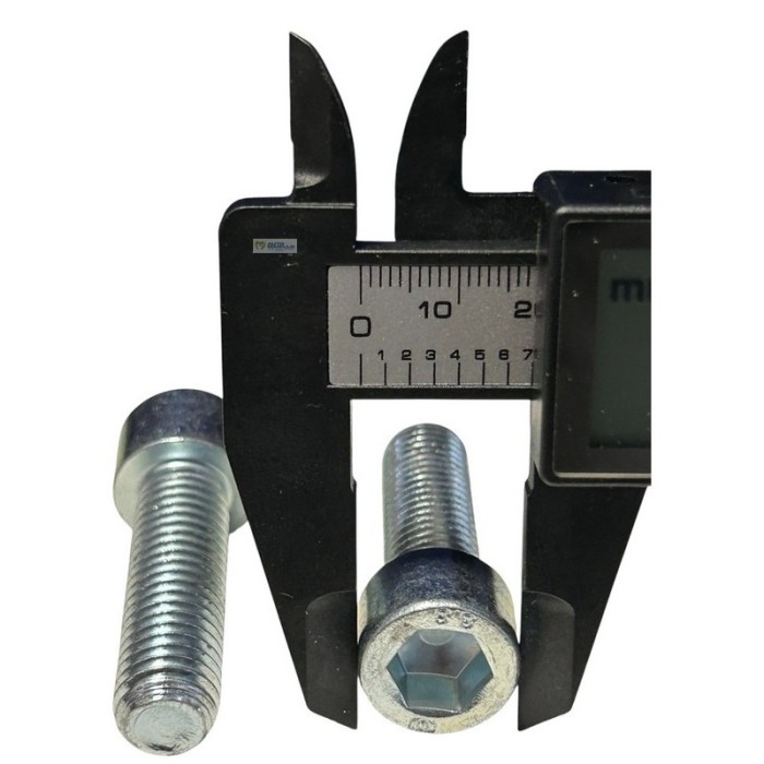 000227A BULLONE VITE