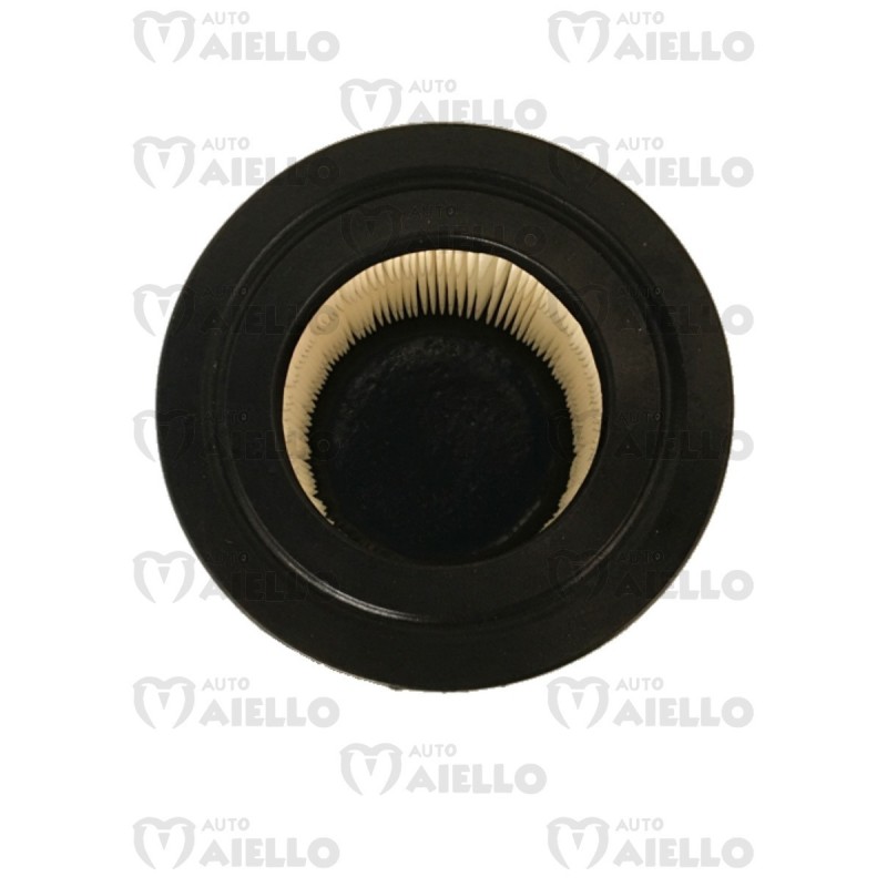 F0098000173 FILTRO ARIA MITSUBISHI CASALINI M12 M14