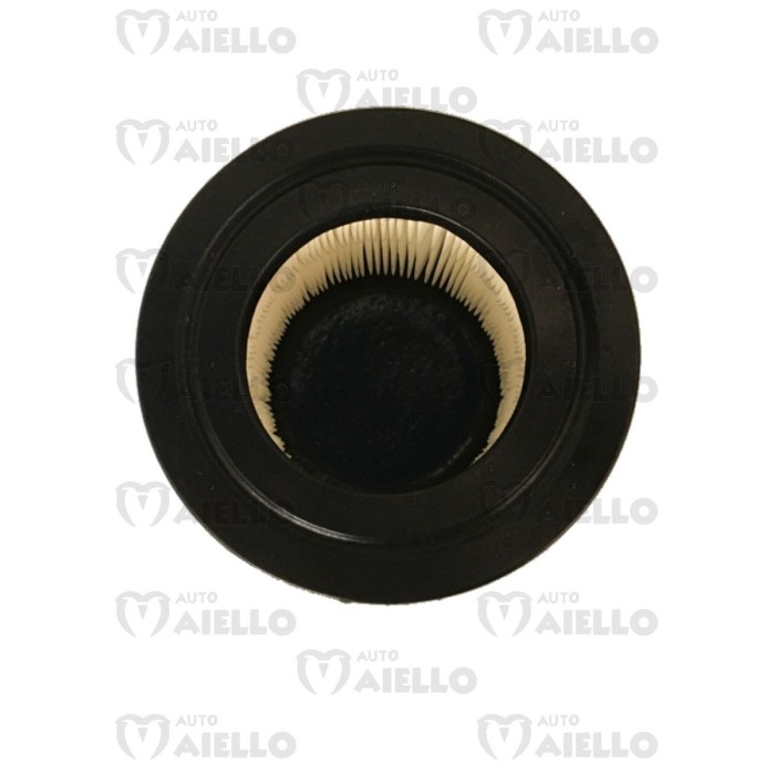 F0098000173 FILTRO ARIA MITSUBISHI CASALINI M12 M14