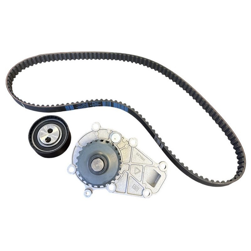 4898 084 KIT DISTRIBUZIONE LOMBARDINI LDW 442 492 dci