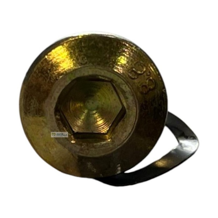 1409813 VITE DISCO FRENO ANT. MICROCAR LIGIER JS50 60 P88 P96 M.GO