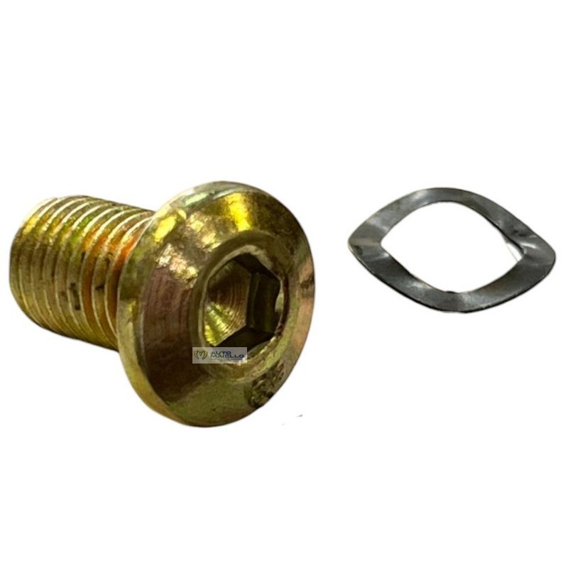1409813 VITE DISCO FRENO ANT. MICROCAR LIGIER JS50 60 P88 P96 M.GO