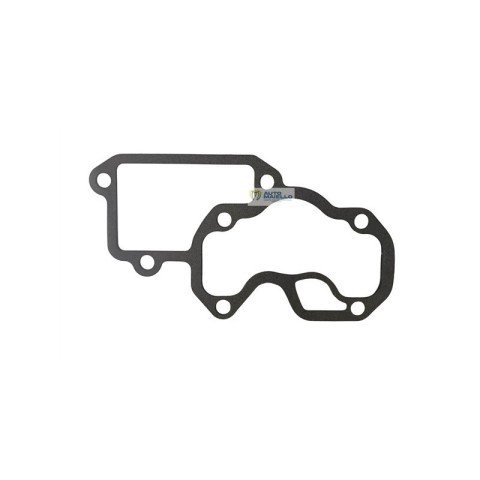 4420080 Guarnizione collettore aspirazione lombardini Ligier Microcar Grecav Chatenet