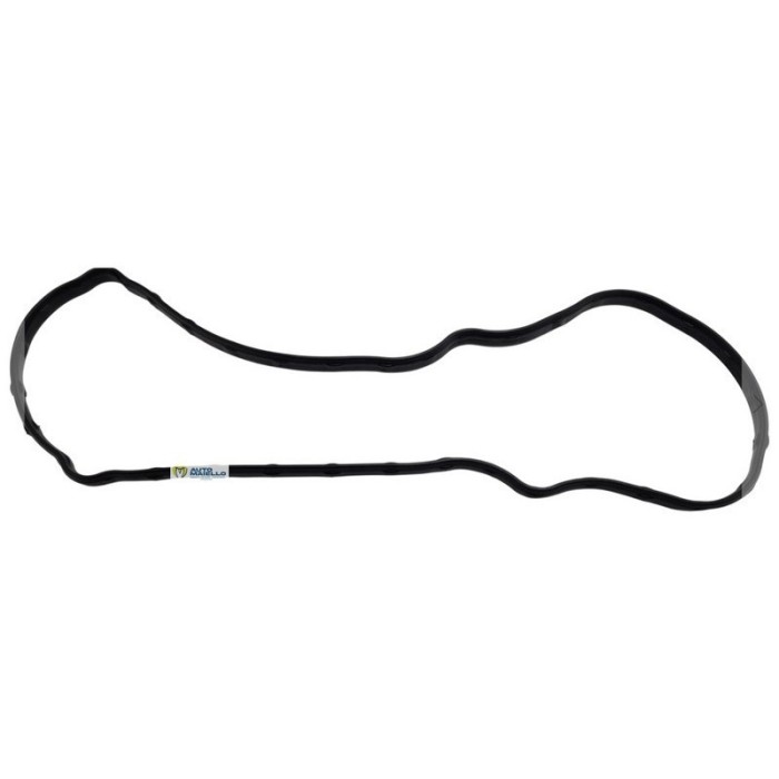 1G95714520 Guarnizione coperchio punterie Aixam Z482 E4B