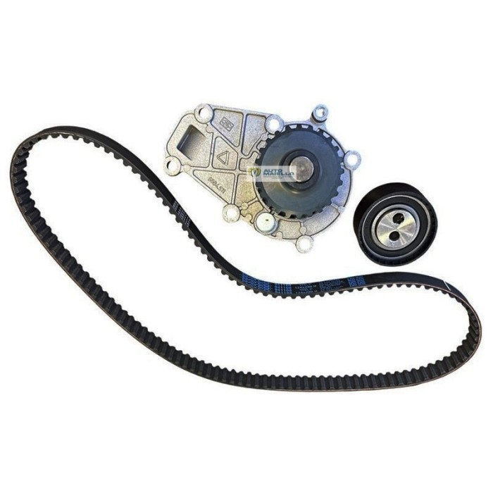 4898 084 KIT DISTRIBUZIONE LOMBARDINI LDW 442 492 DCI LIGIER MICROCAR CHATENET