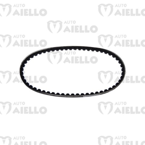 CINGHIA ALTERNATORE 10X730 CHATENET