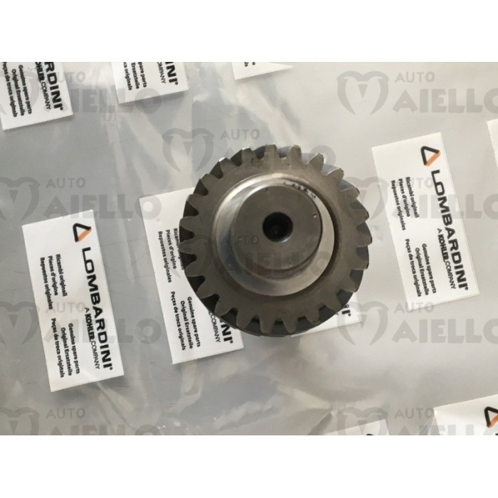 CORONA 75 DENTI E ALBERO PIGNONE 23 E 16 DENTI COMMON RAIL DCI