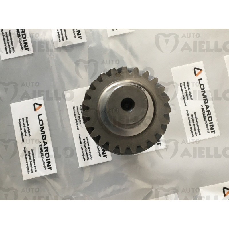 ALBERO PIGNONE 23 E 16 DENTI COMMON RAIL DCI