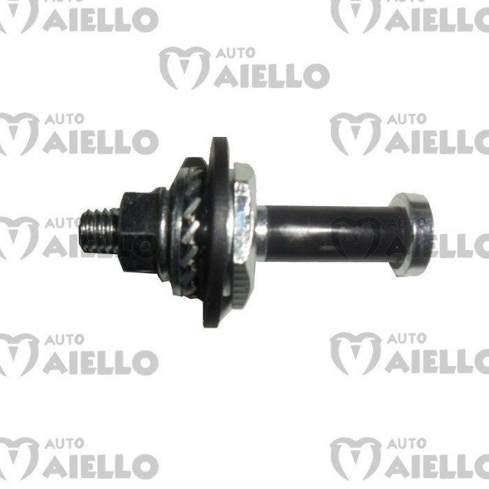 0226068-perno-battiporta-chatenet-ch26-ch28-ch30-ch32