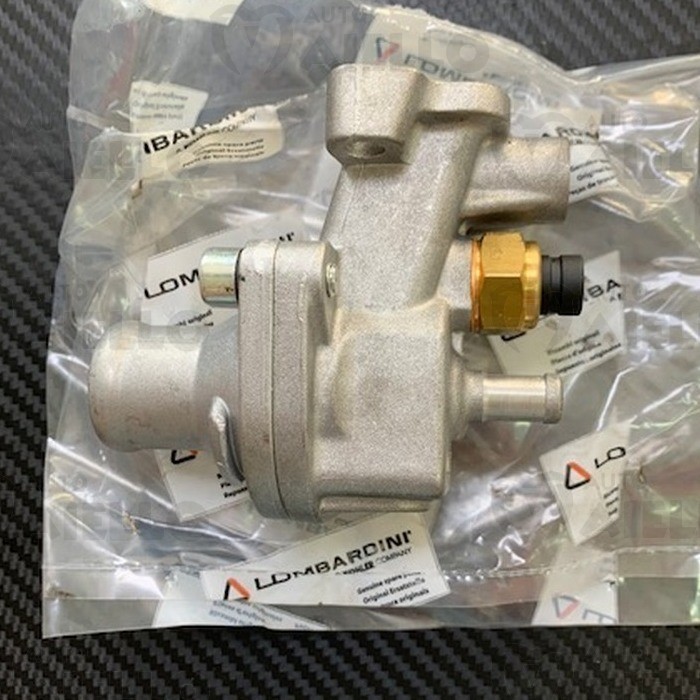 Gruppo termostato Lombardini Focs Microcar