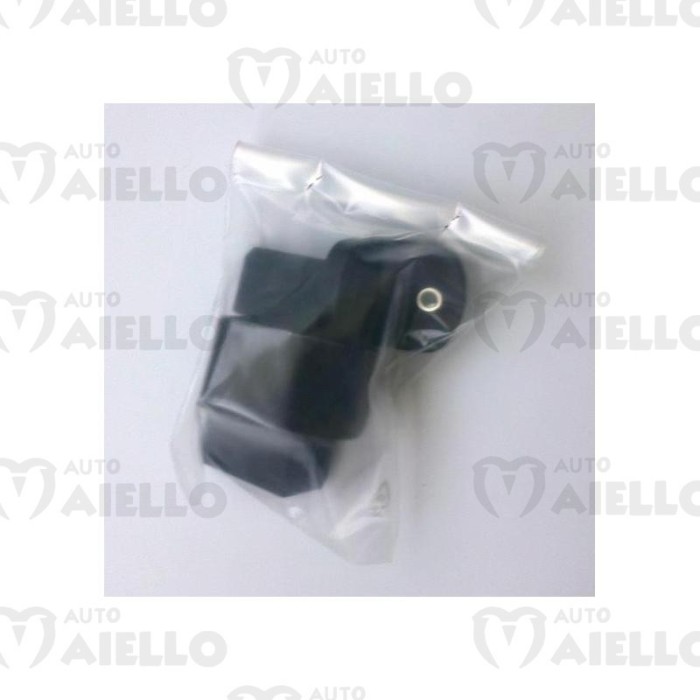 7K169A Cerniera portellone Aixam Crossline 300 400 500.5