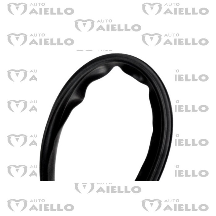 1005775 GUARNIZIONE PARABREZZA CRISTALLO MICROCAR M.GO