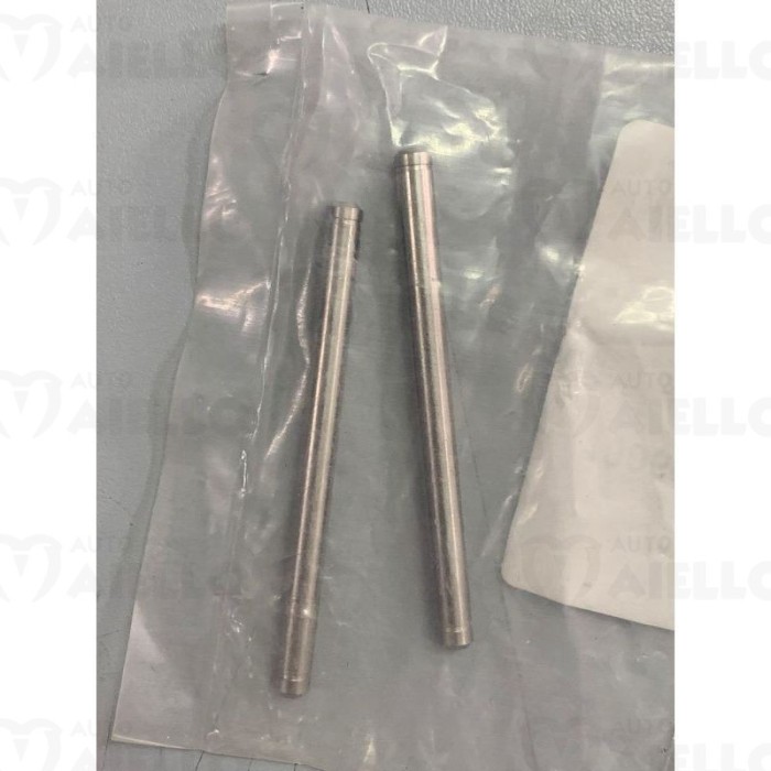 1006911 ASSE CERNIERA PORTA P60 LIGIER E MICROCAR