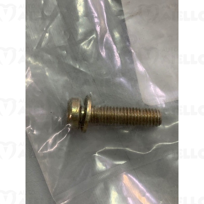 VITE PASTIGLIA CERNIERA PORTA LIGIER