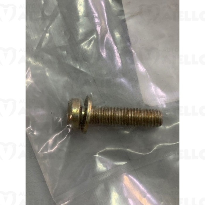 VITE PASTIGLIA CERNIERA PORTA LIGIER