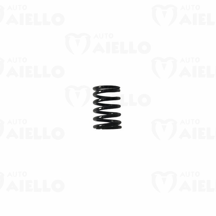 yn114250-11120 Molla valvole Yanmar