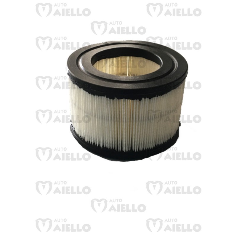 F0098000173 FILTRO ARIA MITSUBISHI CASALINI M12 M14