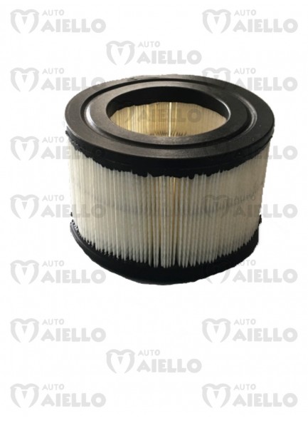 F0098000173 FILTRO ARIA MITSUBISHI CASALINI M12 M14