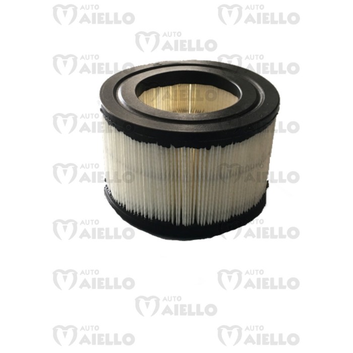 F0098000173 FILTRO ARIA MITSUBISHI CASALINI M12 M14