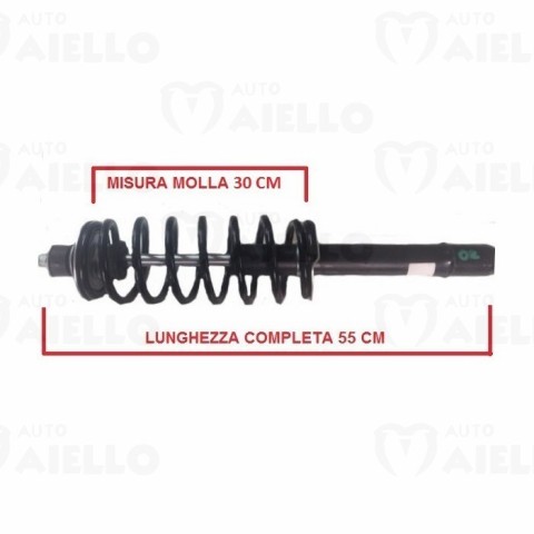AMMORTIZZATORE ANTERIORE LIGIER JS50 1 versione