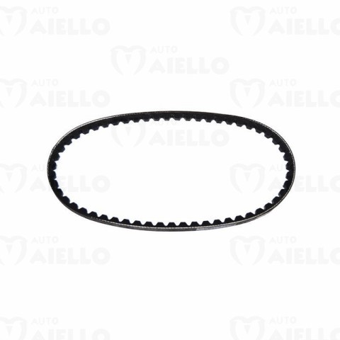 CINGHIA SERVIZI ALTERNATORE MICROCAR LIGIER M8 F8 M.GO COUPE