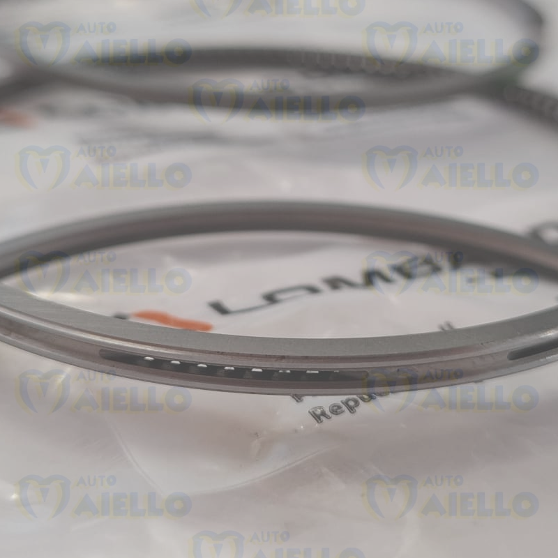 SERIE FASCE SEGMENTI STD LOMBARDINI D.72MM